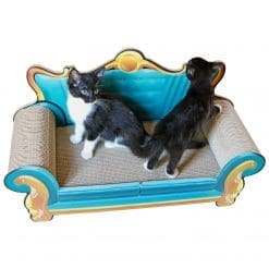 2 Kittens playing on the cat sofa