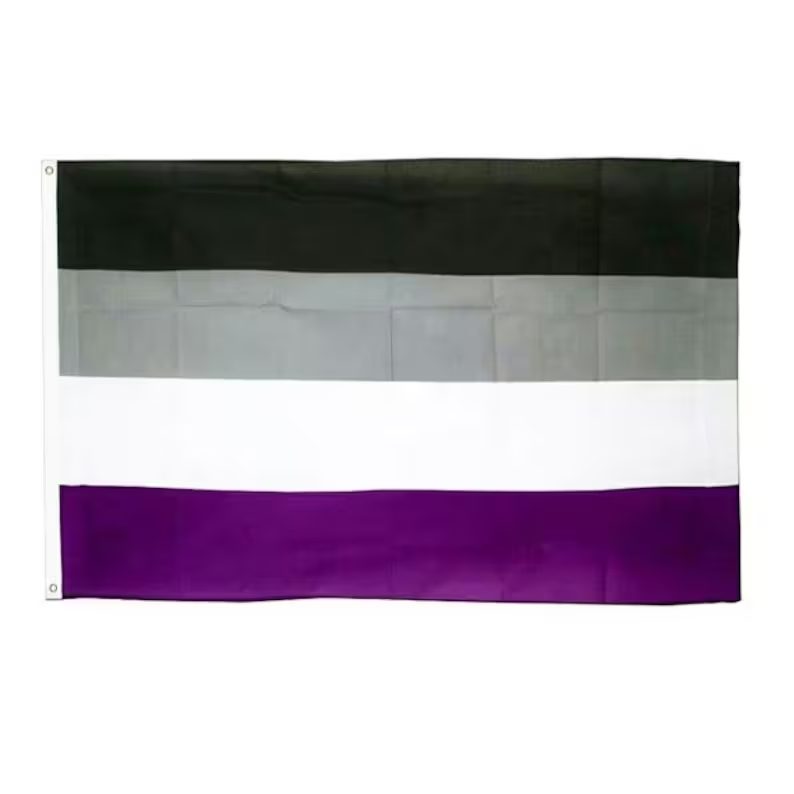 Extra Large Asexual Pride Flag 5ft X 3ft 150 X 90cm Ecobargains